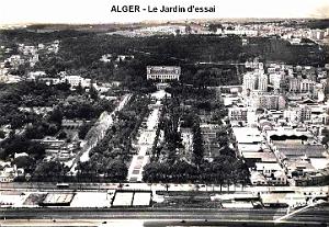 ALGER - LE JARDIN D'ESSAI